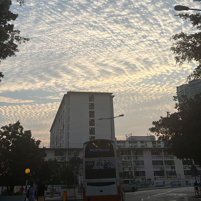 「香港多元離島之旅：大嶼山，西貢迷人風光」
