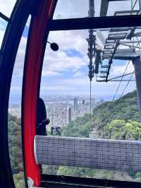 【神戸布引ハーブ園🌿ロープウェイ🚡】
