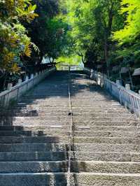 【東京都/愛宕神社】息を呑むほどの急な石段がある神社