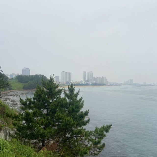 속초 산책하기 좋은 외옹치 바다향기로 🌳