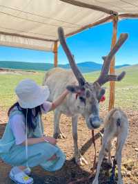 몽골여행에서 만난 순록가족🦌🦌