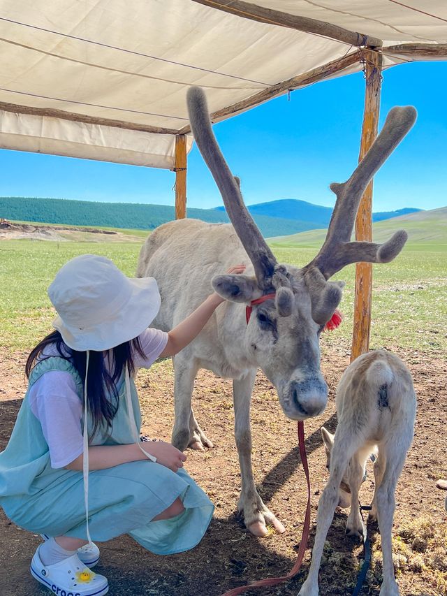 몽골여행에서 만난 순록가족🦌🦌