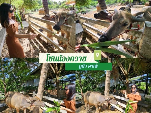 📌One Day Trip ที่ DUBUA CAFE  | นครปฐม