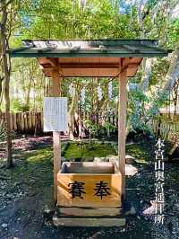 【愛知県/砥鹿神社】可愛い鹿のファミリーがいる神社