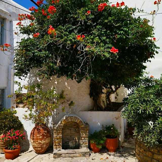 LOVELY BAKERY + CAFÉ IN MYKONOS!