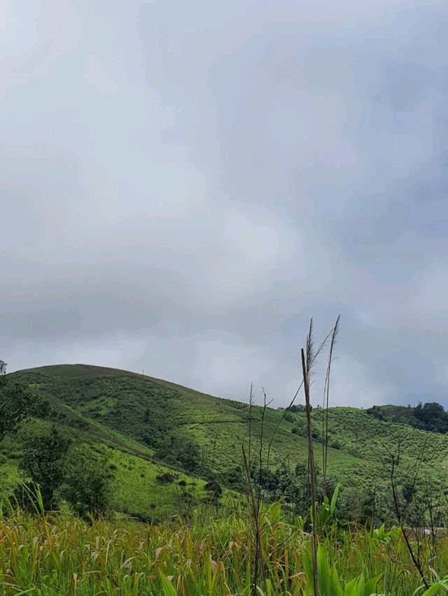 พาเดินเทรล"ดอยลับ" อุทยานแห่งชาติดอยสอยมาลัย