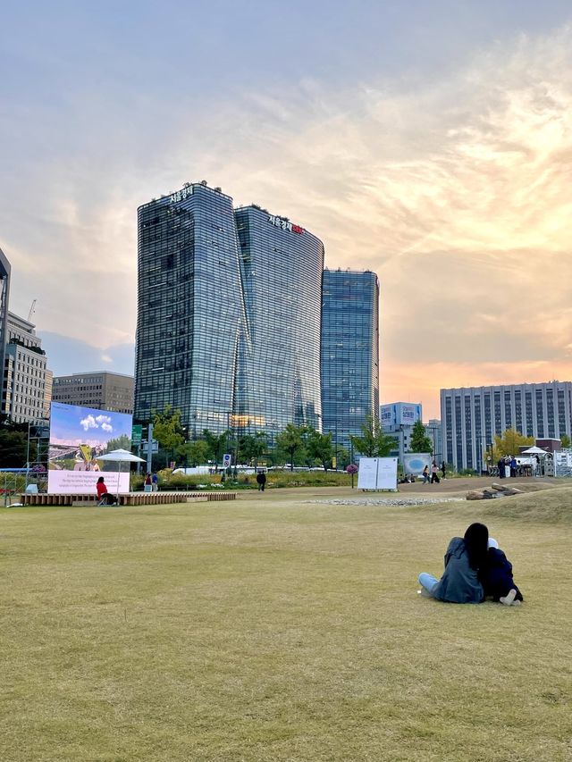 코스모스 밭으로 펼쳐진 인사동 공원, 열린송현 녹지광장🌼