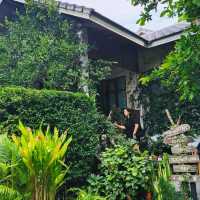 เจอ Stay with Tree Cafe🌿