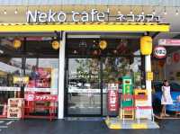 Neko cafe Rayong 🇯🇵