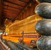 วัดพระเชตุพนวิมลมังคลาราม  (วัดโพธิ์)