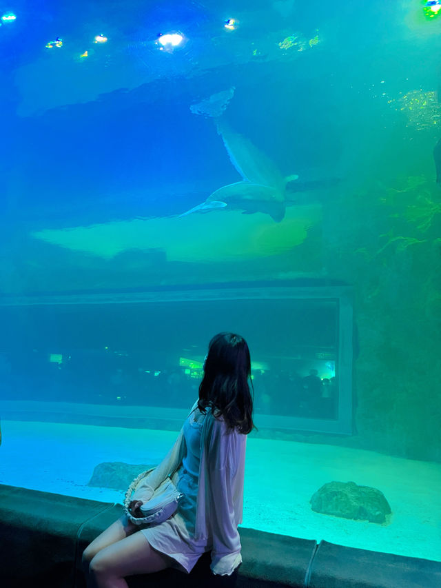 추위걱정 없는 실내 데이트는 아쿠아리움🩵🐠