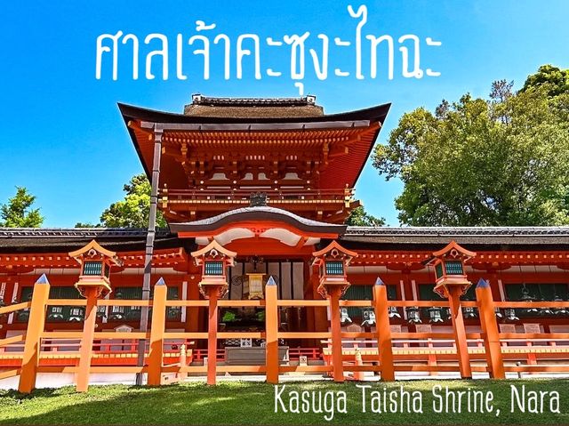 ดูใบไม้เปลี่ยนสีที่ศาลเจ้าตะเกียง Kasuga Taisha