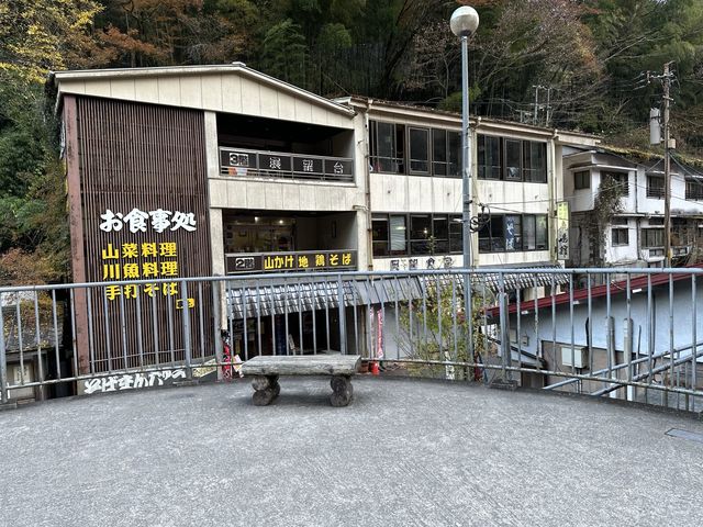 紅葉名所　一目八景