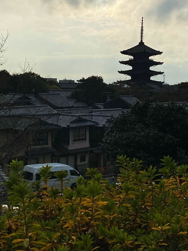 Priceless Stroll in the street of Japan