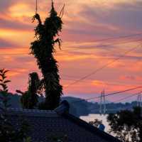 Amazing Sunset on Tapjeongho (탑정호)