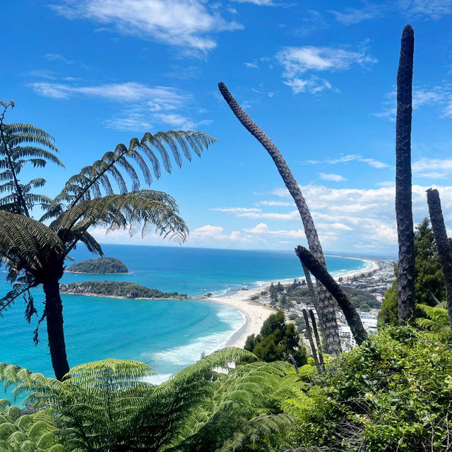 Mount Maunganui Beach View