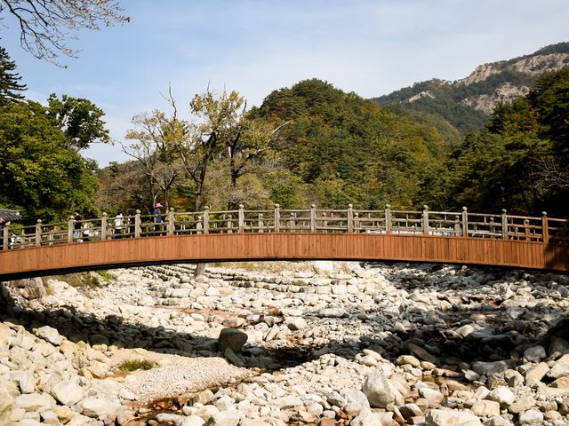 เที่ยวอุทยานแห่งชาติเกาหลีที่ซอรัคซาน 🌳🇰🇷