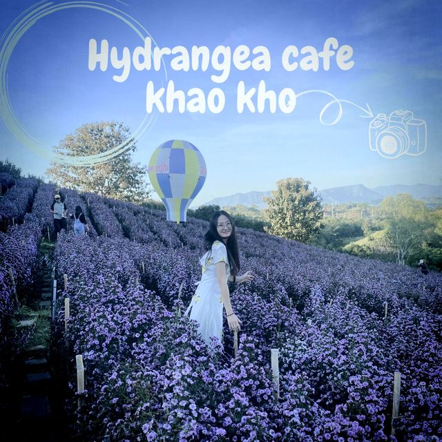 Hydrangea cafe Khao Kho 