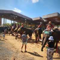 Elephant World