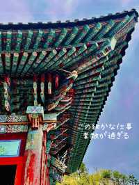 韓国【【釜山】風水の専門家から気の高い場所として知られる海東龍宮寺 