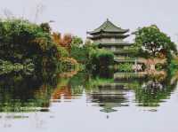 「嘉義八掌溪黃金風鈴花」春天賞花，散步的最佳去處，花期10-14天