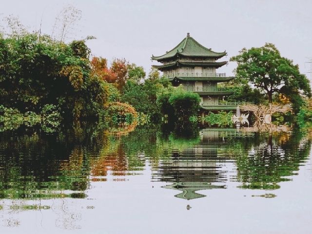 「嘉義八掌溪黃金風鈴花」春天賞花，散步的最佳去處，花期10-14天