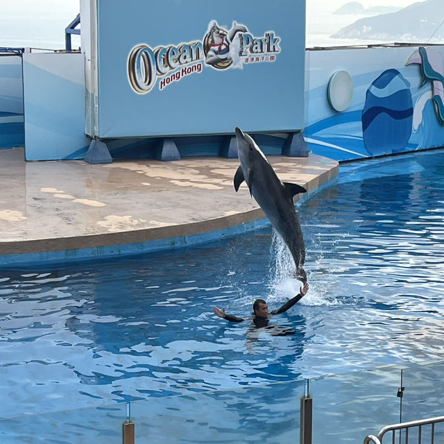 海洋公園親子度假酒店