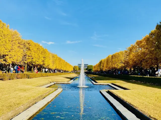 Golden Leaves in Autumn