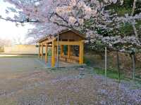 Habu Park