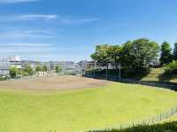 Parks with Baseball Field