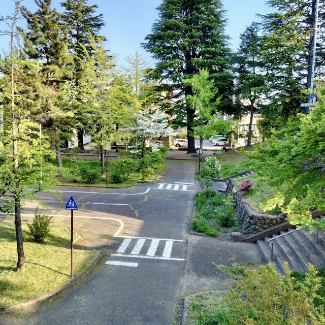 Himawari Park