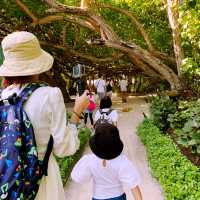 Adaaran Prestige Vadoo Maldives-day trip 