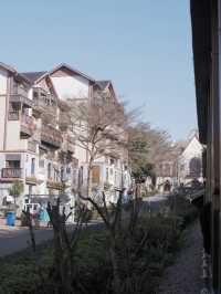 東部華僑城森林小火車，高空欣賞小瑞士