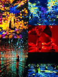 【麻布台】魔法のアート空間💫麻布台ヒルズに誕生したteamLab Borderlessで夢の世界へ
