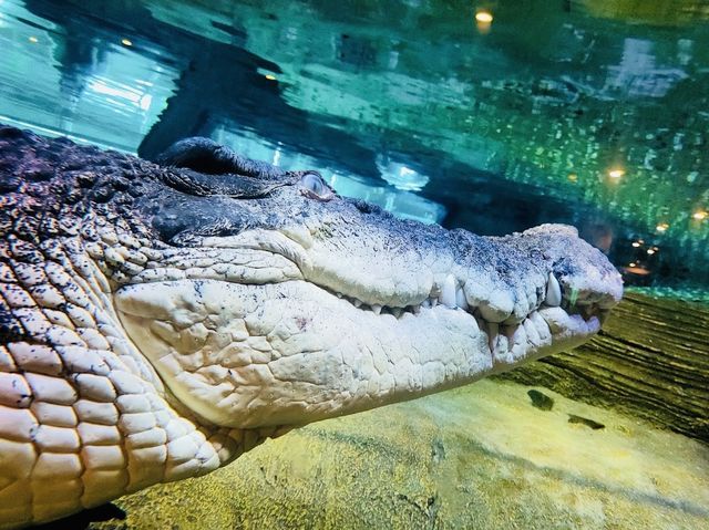 SEA LIFE Melbourne Aquarium