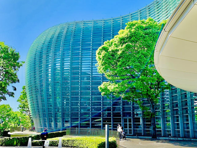 The National Art Center Tokyo 