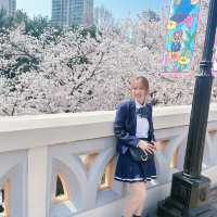 🌸Everland สวนสนุก🎡 ที่มีซากุระ🌸
