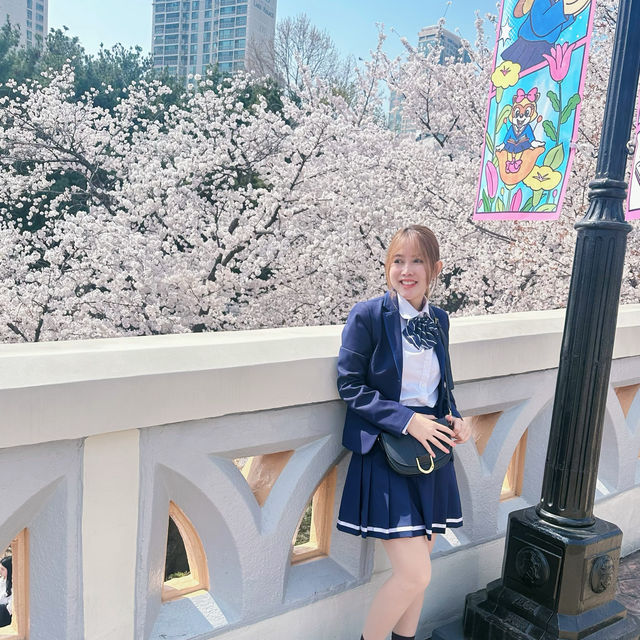 🌸Everland สวนสนุก🎡 ที่มีซากุระ🌸
