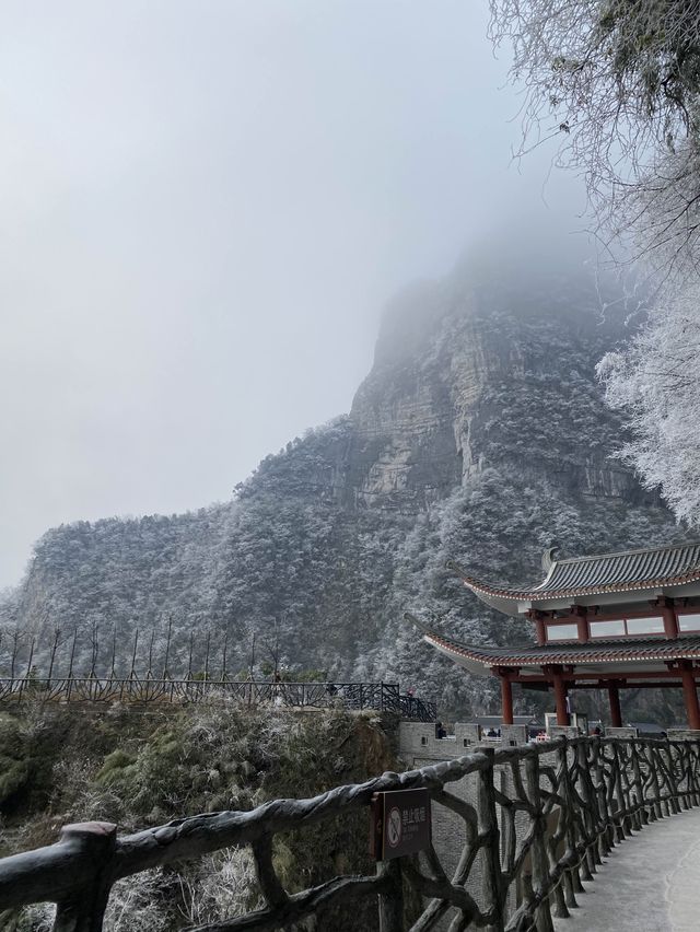 張家界｜天門山-索道🚠上天梯🚡