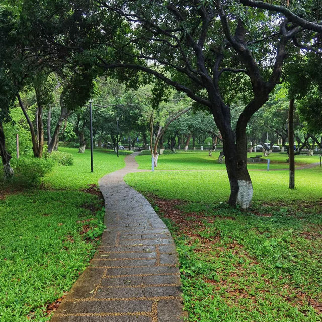 澳門大潭山郊野公園：親山體驗，美好記憶