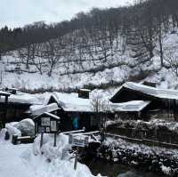 Nyuto Hot Spring Village 