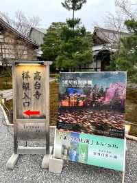【京都】枝垂れ桜とプロディクションマッピングが同時に見れる庭園