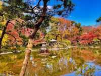 🍁สวนสาธารณะฮิบิยะ Hibiya Park 