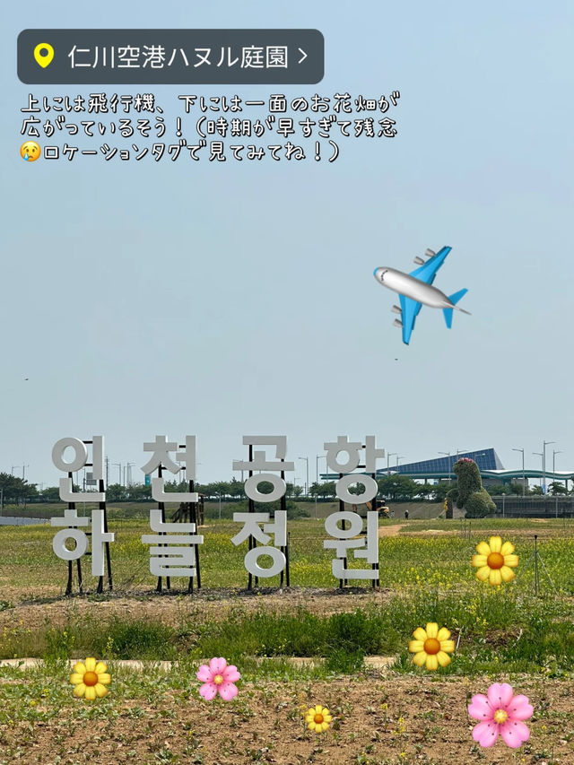 【📍韓国/仁川空港】無料で韓国観光できちゃう！トランジットツアー✈️