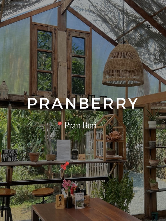 🍸🍃𝓟𝓻𝓪𝓷𝓫𝓮𝓻𝓻𝔂 𝓔𝓪𝓻𝓽𝓱 🍹🫐