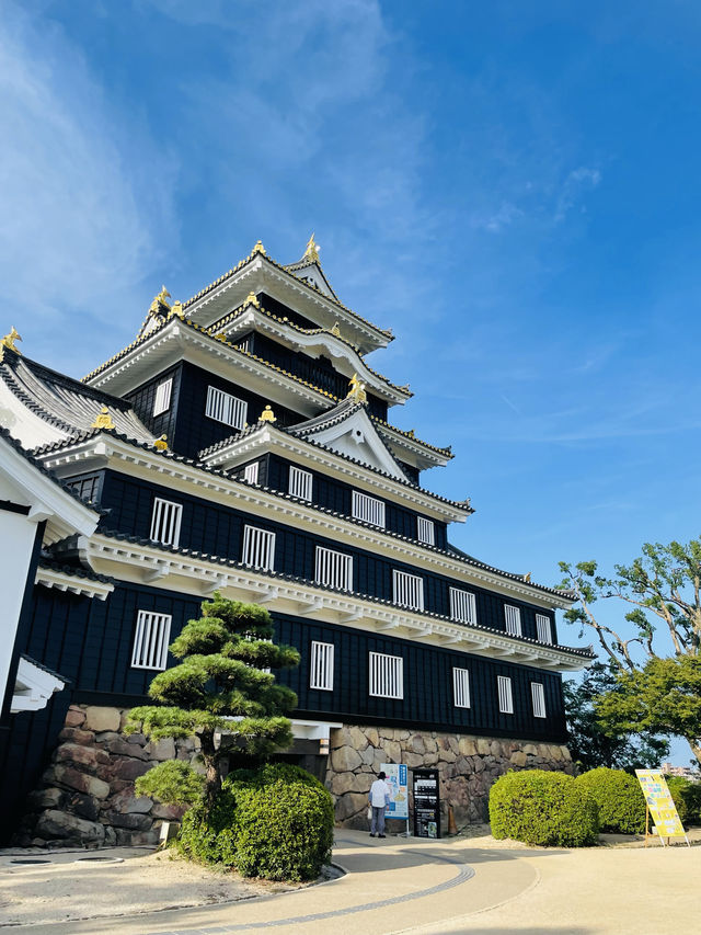 【岡山県】漆黒の天守が美しい岡山城