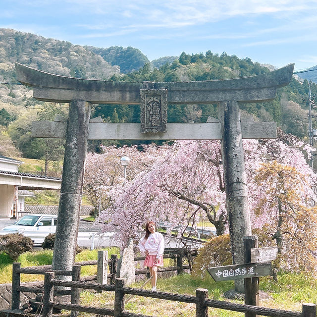 広島県　三原市　御調八幡宮