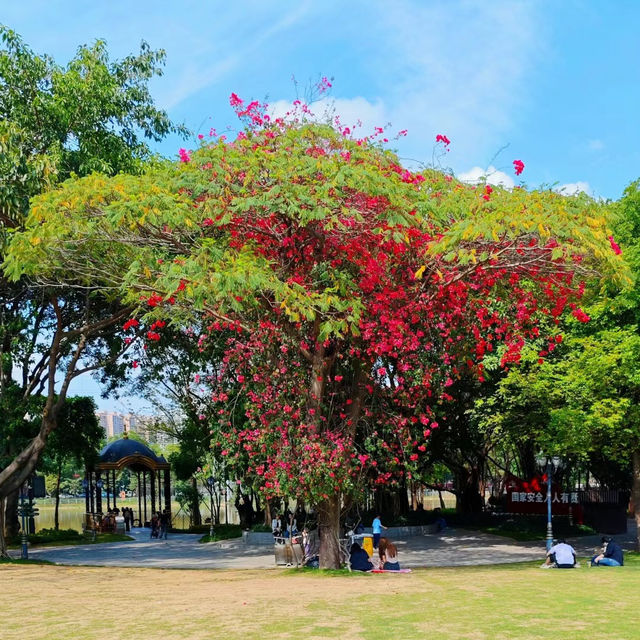 廣州增埗公園：綠地湖泊，輕鬆愉快