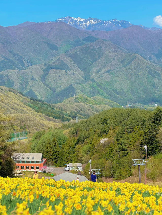 【群馬】絶景穴場スポット🤍リフトに乗って空中さんぽ