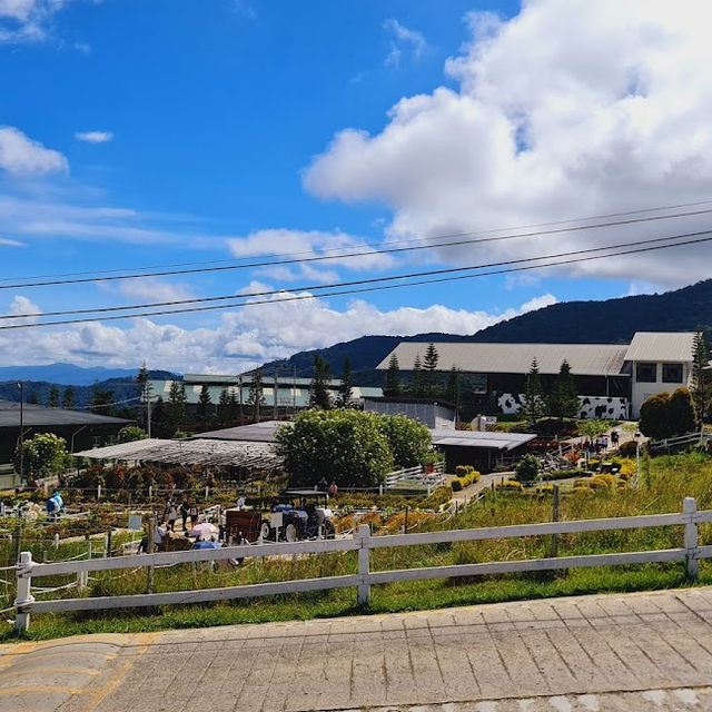 New Zealand Scenery in Malaysia 